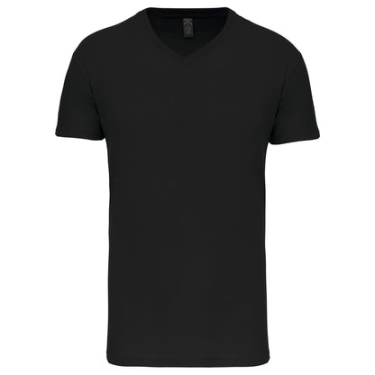 Heren-t-shirt BIO150IC V-hals