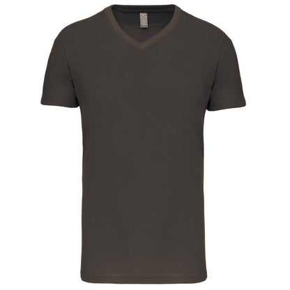 Heren-t-shirt BIO150IC V-hals