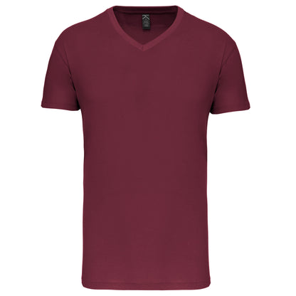 Heren-t-shirt BIO150IC V-hals